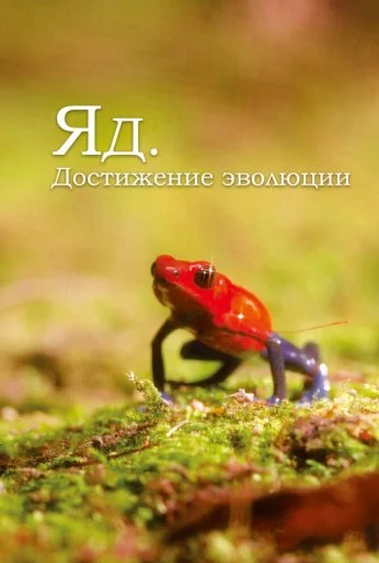 Яд. Достижение эволюции (2015) онлайн бесплатно